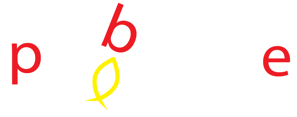 Probounce Inflatables
